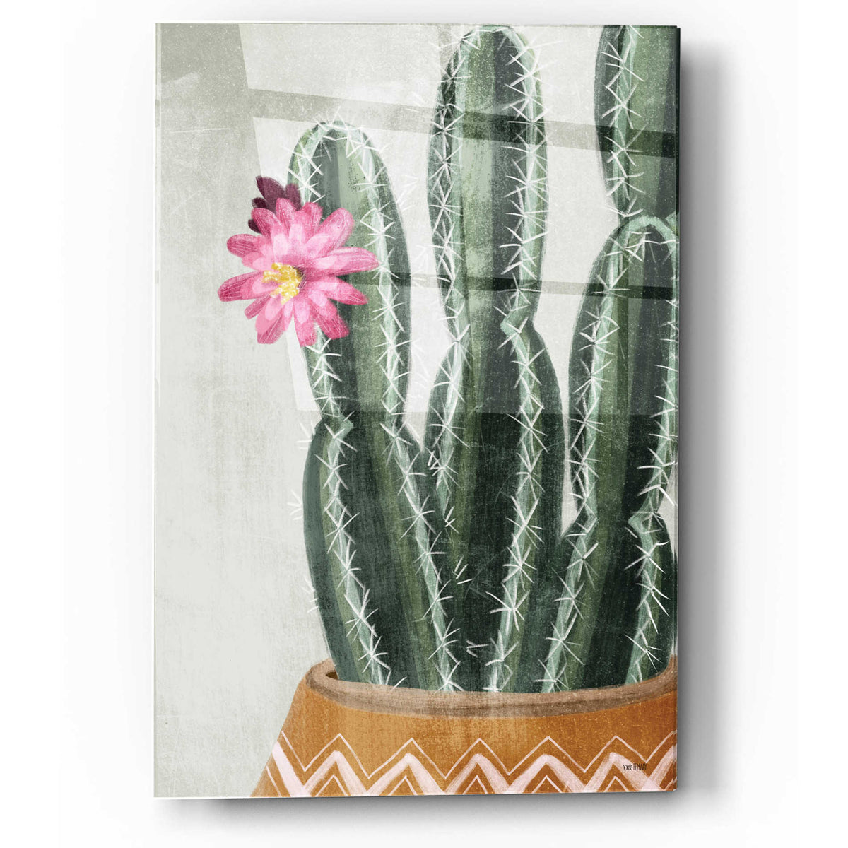 Epic Art 'Flowering Cactus' by House Fenway, Acrylic Glass Wall Art