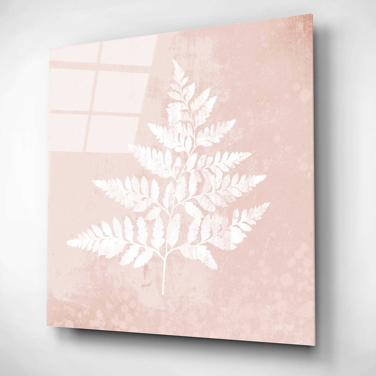 Epic Art 'Blush Fern I' by House Fenway, Acrylic Glass Wall Art,12x12