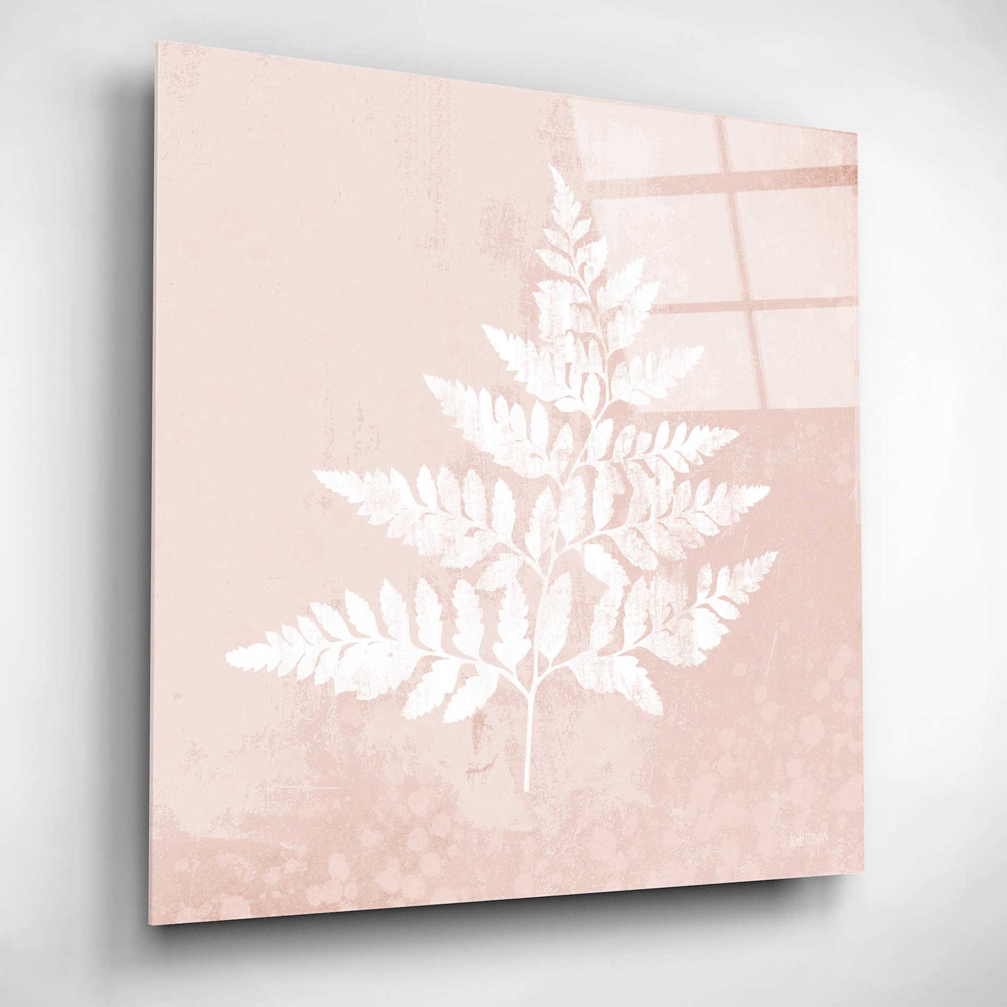 Epic Art 'Blush Fern I' by House Fenway, Acrylic Glass Wall Art,12x12