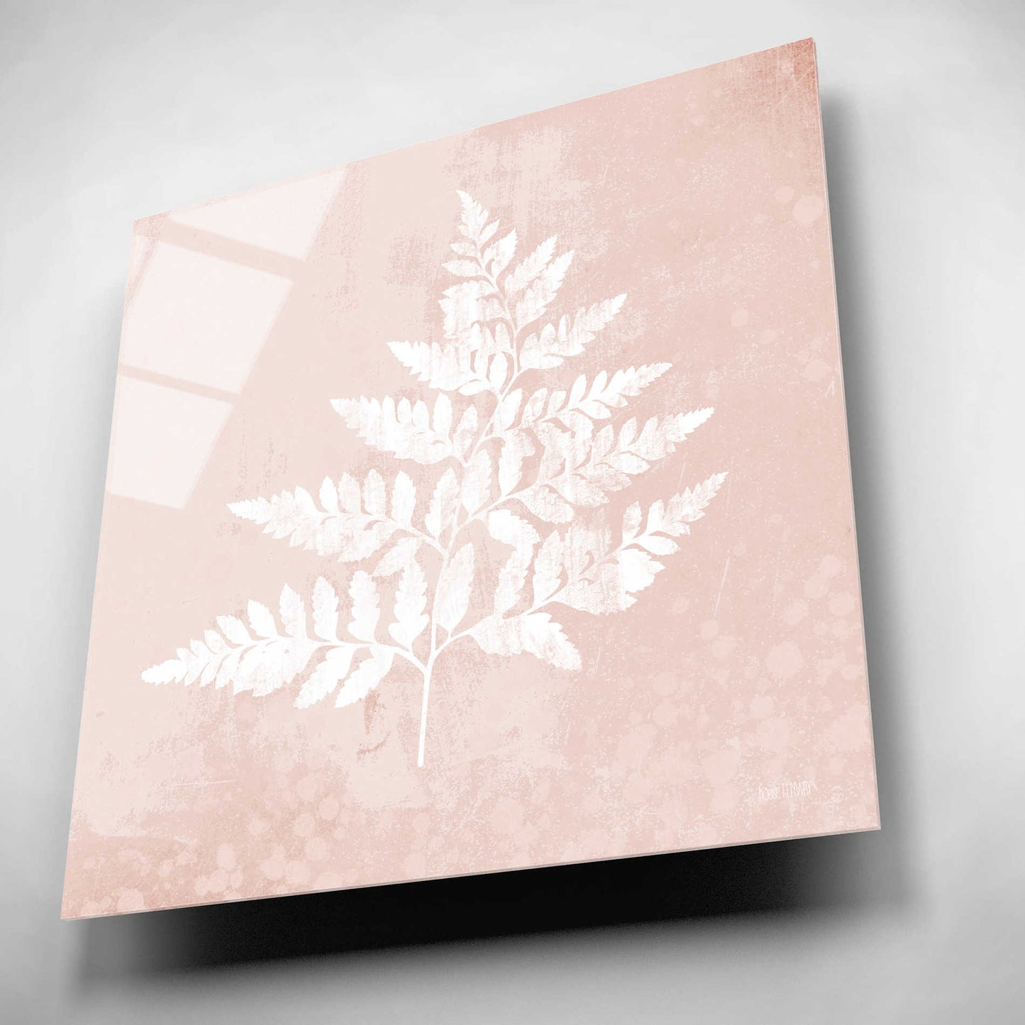 Epic Art 'Blush Fern I' by House Fenway, Acrylic Glass Wall Art,12x12