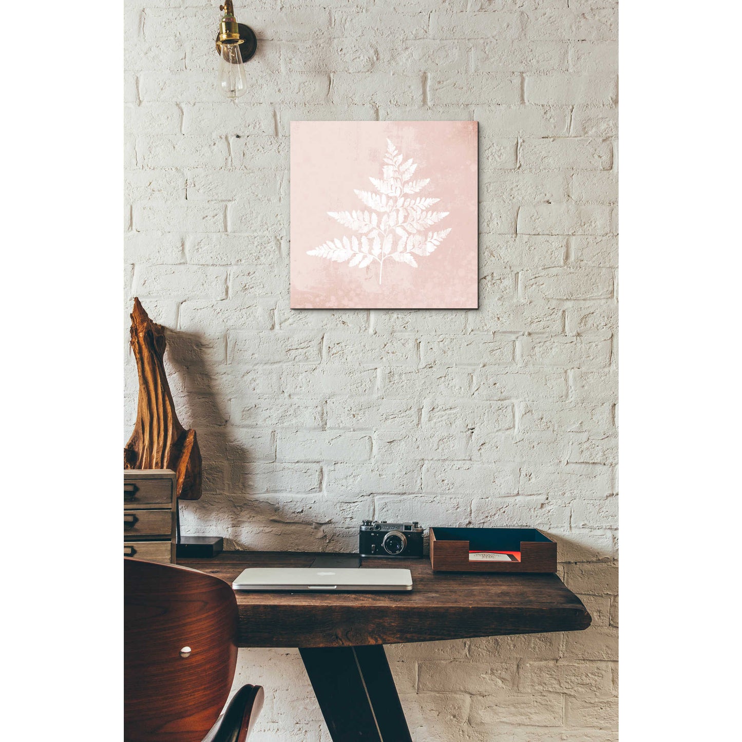 Epic Art 'Blush Fern I' by House Fenway, Acrylic Glass Wall Art,12x12