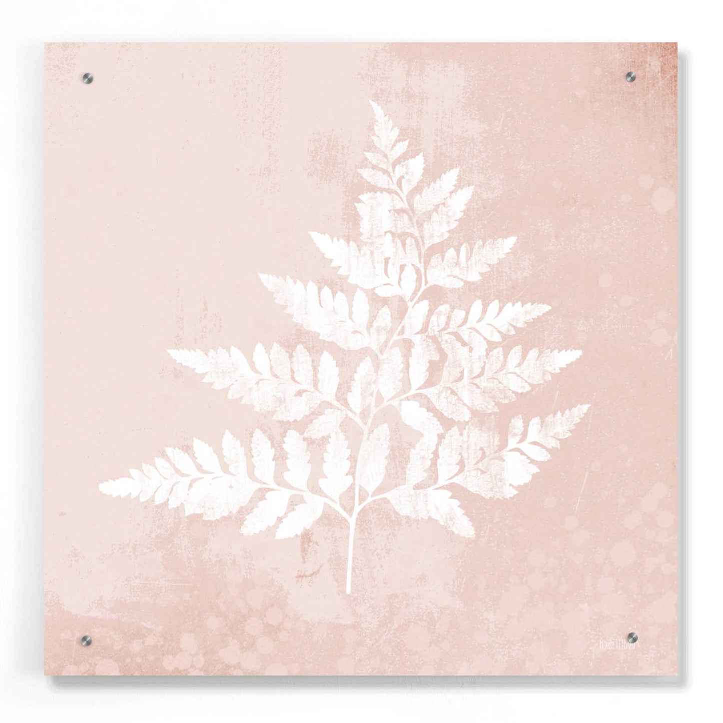 Epic Art 'Blush Fern I' by House Fenway, Acrylic Glass Wall Art,24x24