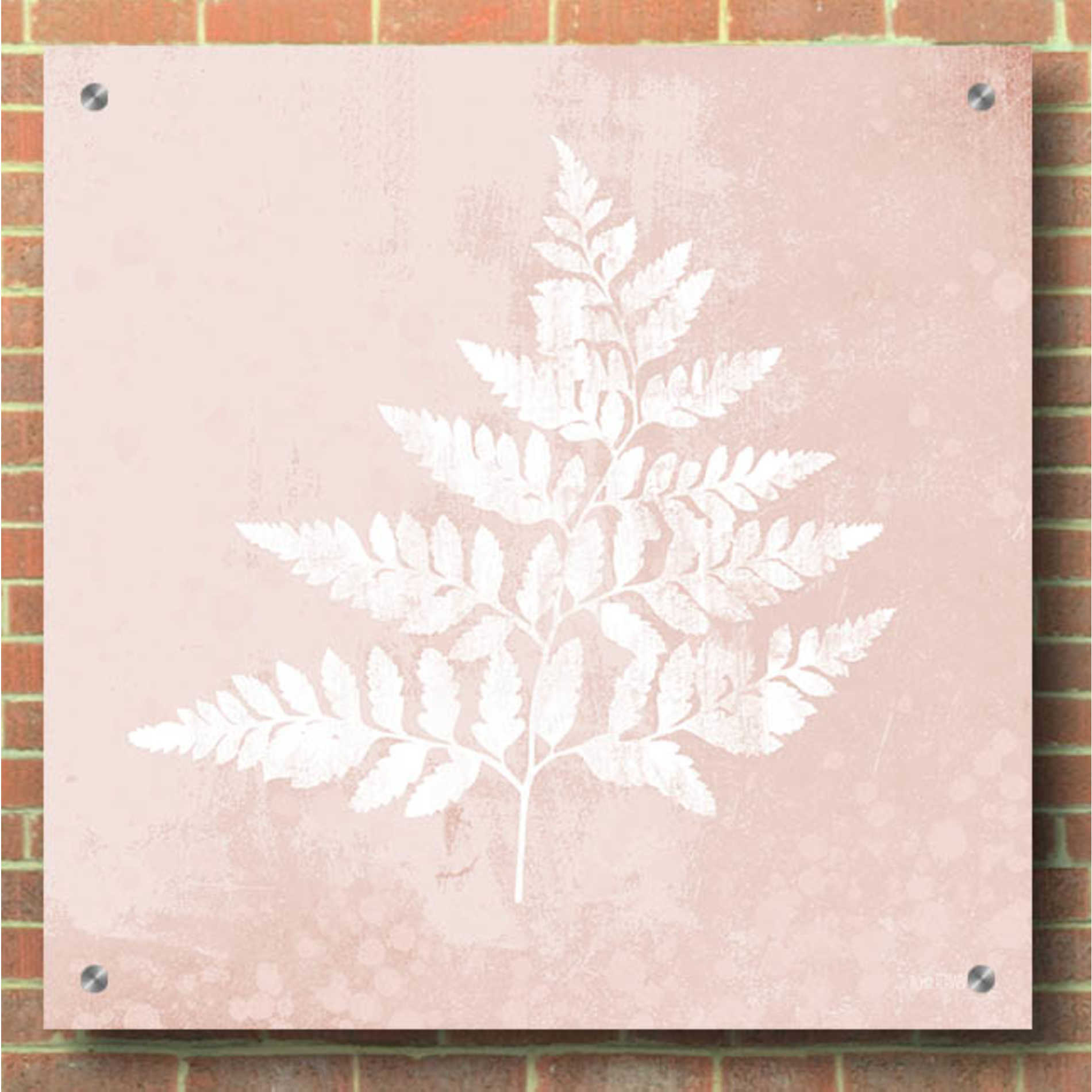 Epic Art 'Blush Fern I' by House Fenway, Acrylic Glass Wall Art,36x36