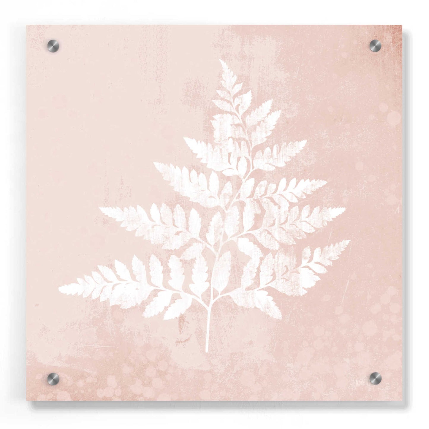 Epic Art 'Blush Fern I' by House Fenway, Acrylic Glass Wall Art,36x36