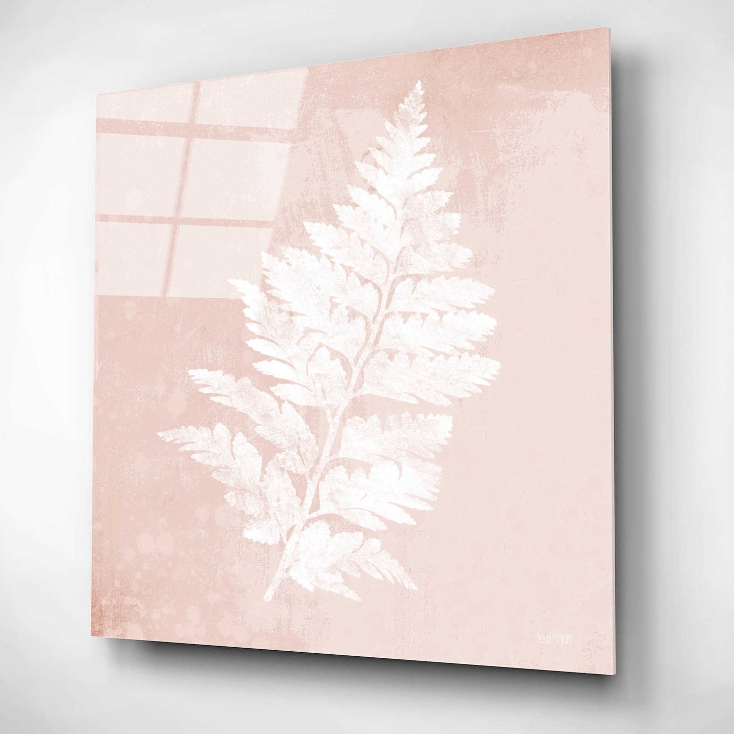 Epic Art 'Blush Fern II' by House Fenway, Acrylic Glass Wall Art,12x12