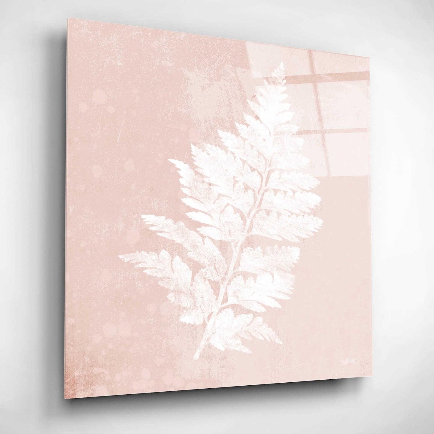 Epic Art 'Blush Fern II' by House Fenway, Acrylic Glass Wall Art,12x12