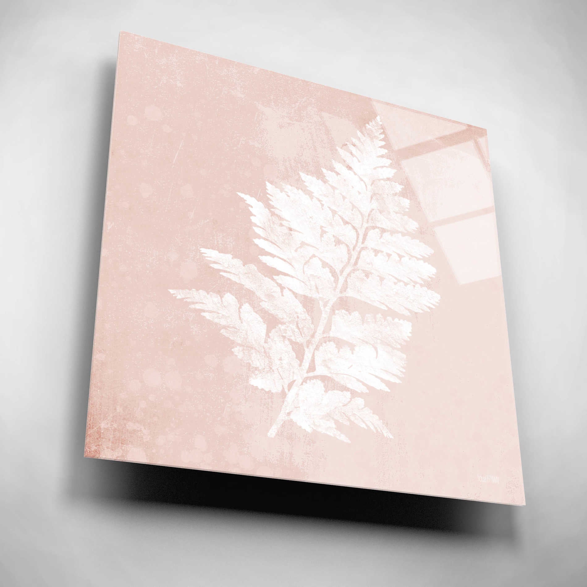 Epic Art 'Blush Fern II' by House Fenway, Acrylic Glass Wall Art,12x12