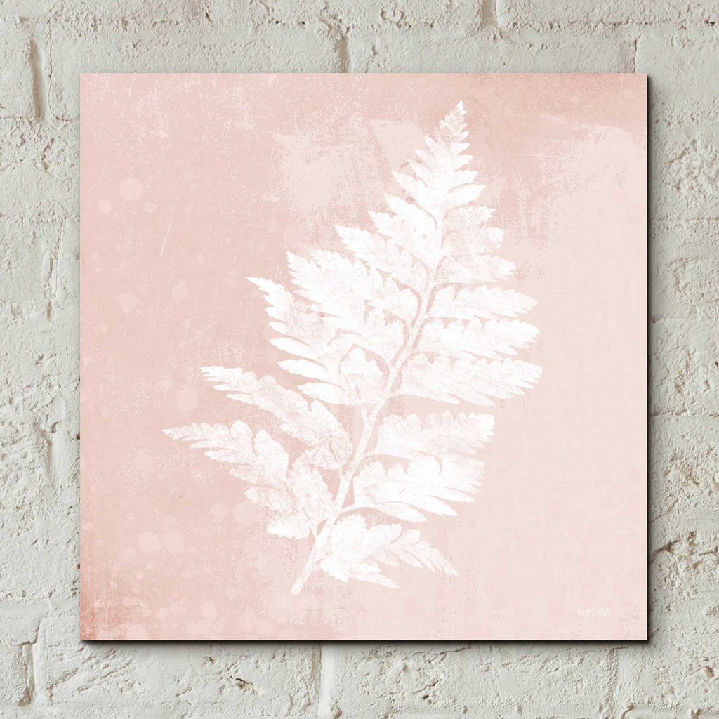 Epic Art 'Blush Fern II' by House Fenway, Acrylic Glass Wall Art,12x12