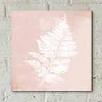 Epic Art 'Blush Fern II' by House Fenway, Acrylic Glass Wall Art,12x12