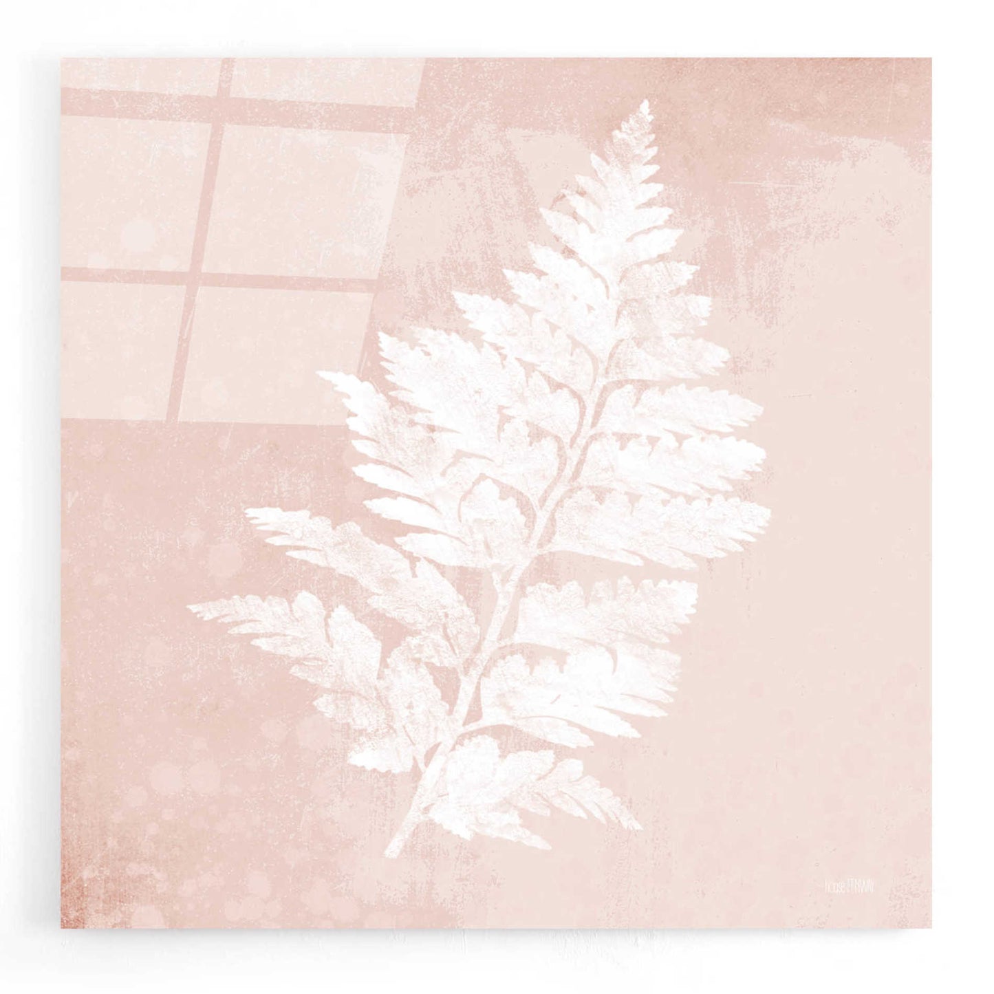 Epic Art 'Blush Fern II' by House Fenway, Acrylic Glass Wall Art,12x12