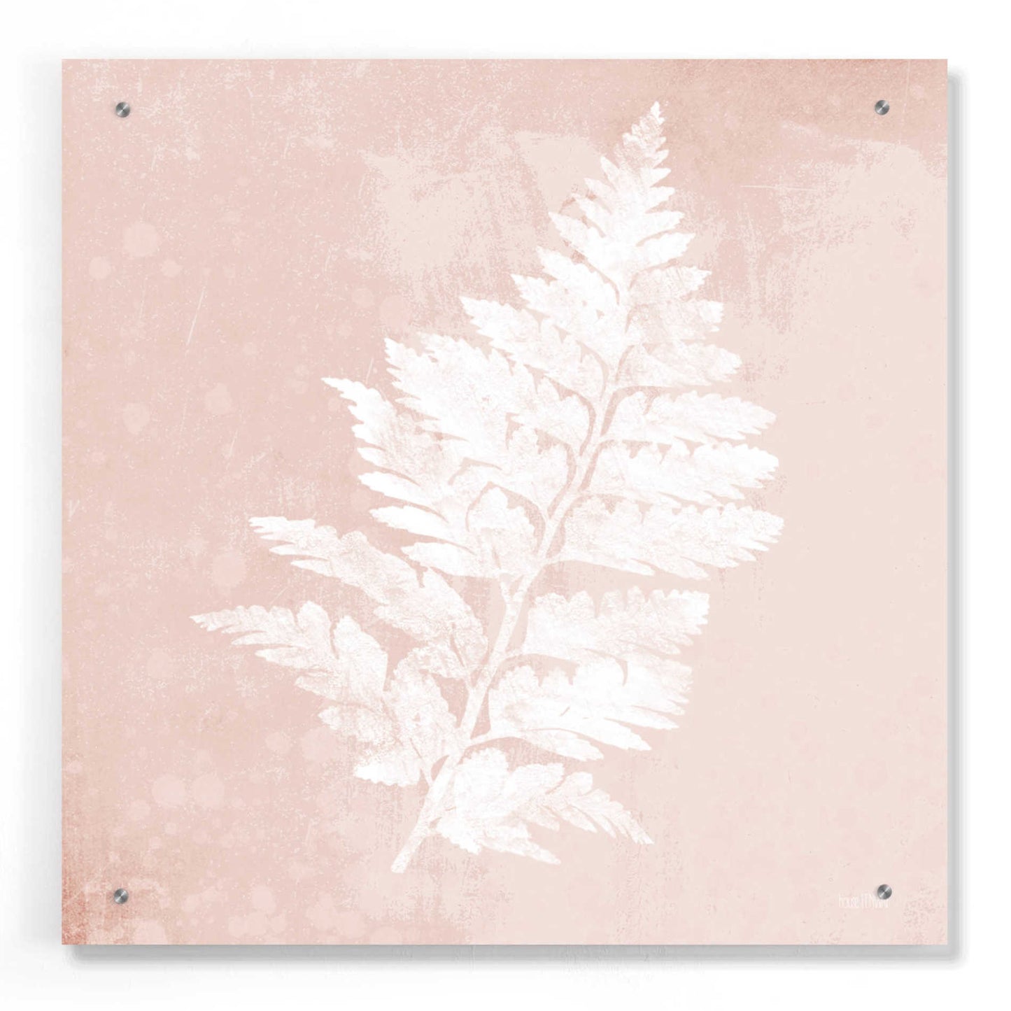 Epic Art 'Blush Fern II' by House Fenway, Acrylic Glass Wall Art,24x24