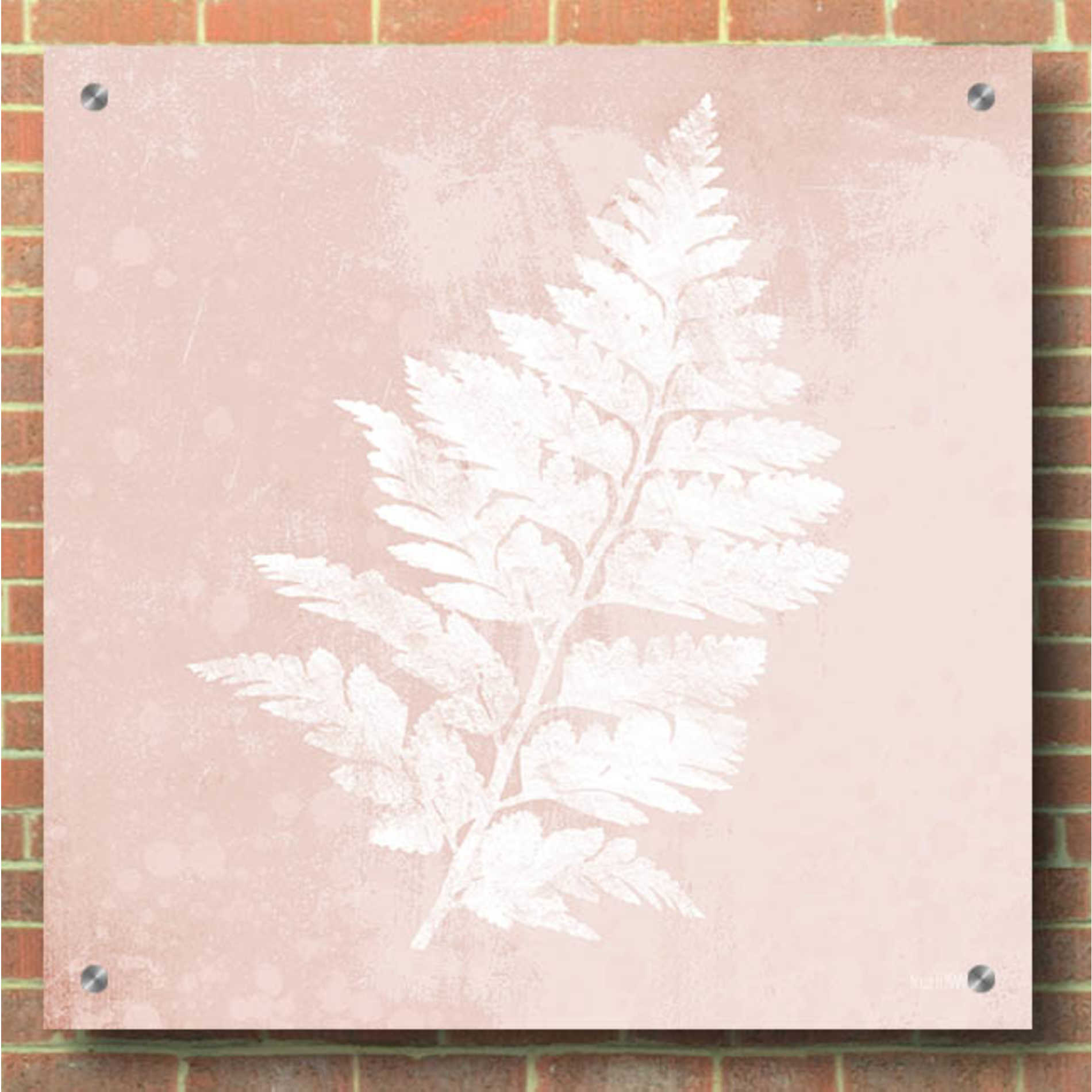 Epic Art 'Blush Fern II' by House Fenway, Acrylic Glass Wall Art,36x36