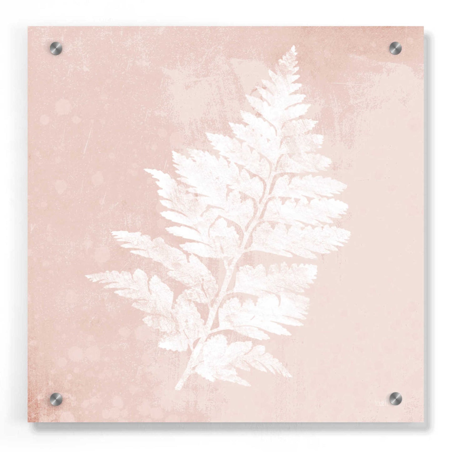 Epic Art 'Blush Fern II' by House Fenway, Acrylic Glass Wall Art,36x36