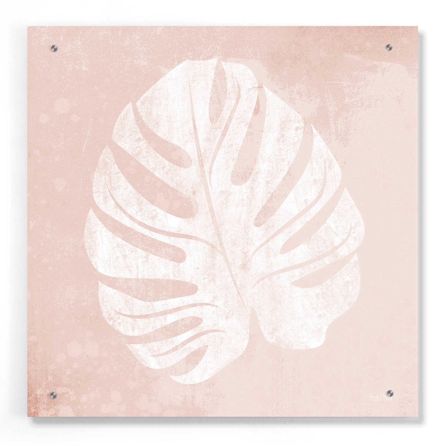 Epic Art 'Blush Fern III' by House Fenway, Acrylic Glass Wall Art,24x24