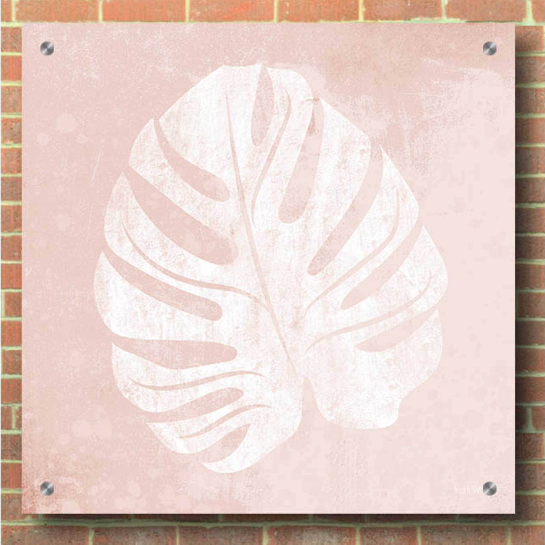 Epic Art 'Blush Fern III' by House Fenway, Acrylic Glass Wall Art,36x36