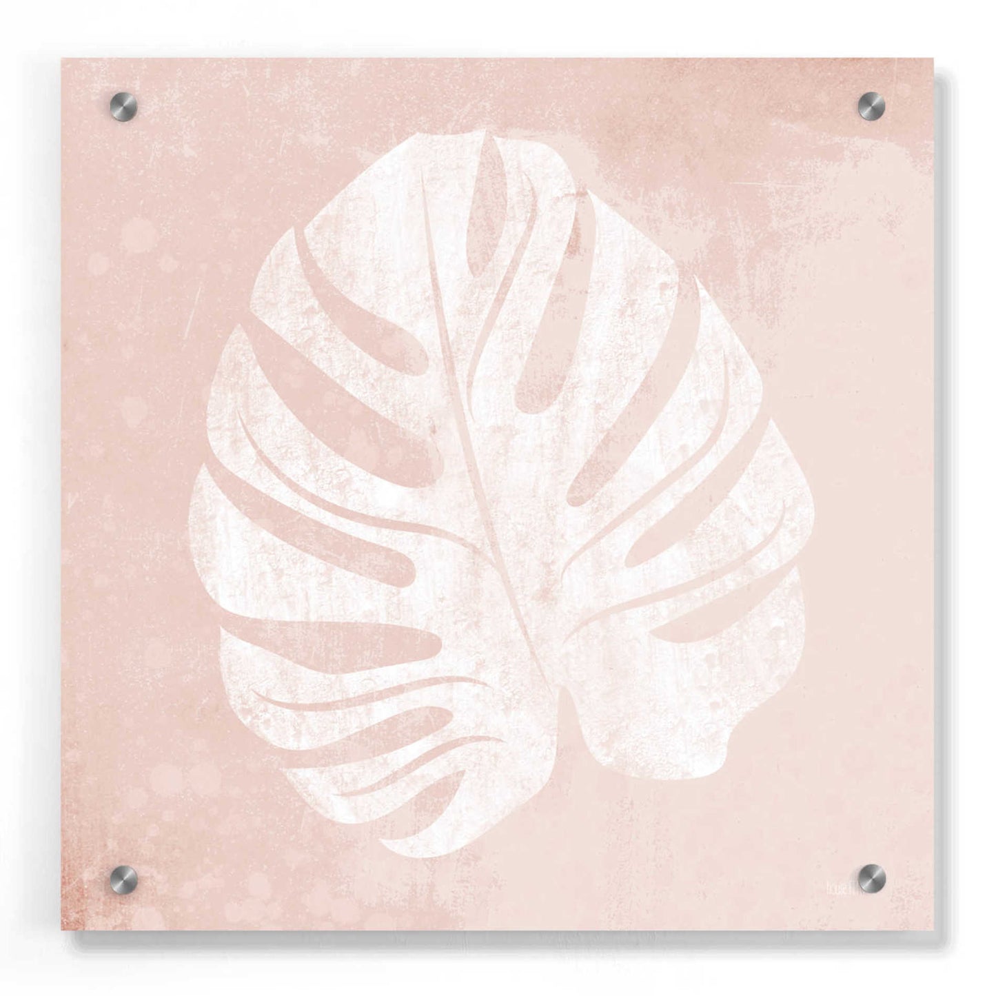 Epic Art 'Blush Fern III' by House Fenway, Acrylic Glass Wall Art,36x36