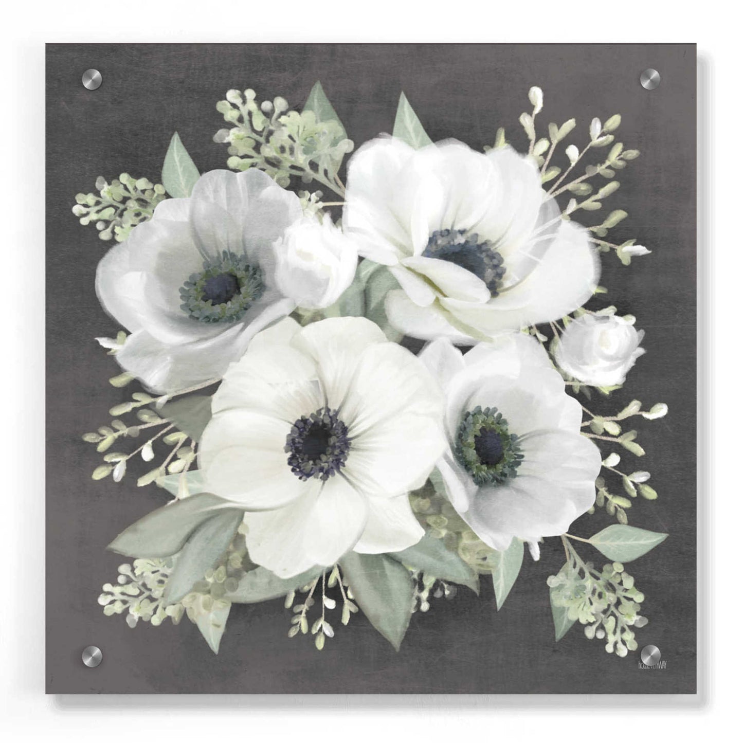 Epic Art 'Anemone Square I' by House Fenway, Acrylic Glass Wall Art,36x36