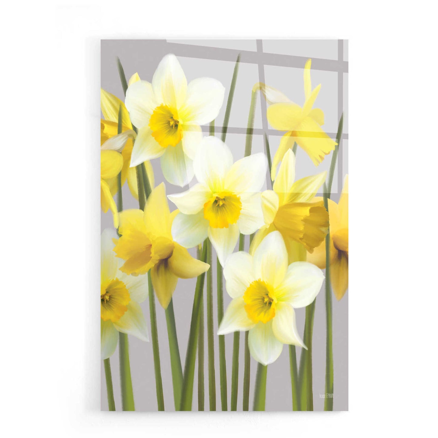 Epic Art 'Spring Daffodils' by House Fenway, Acrylic Glass Wall Art,16x24