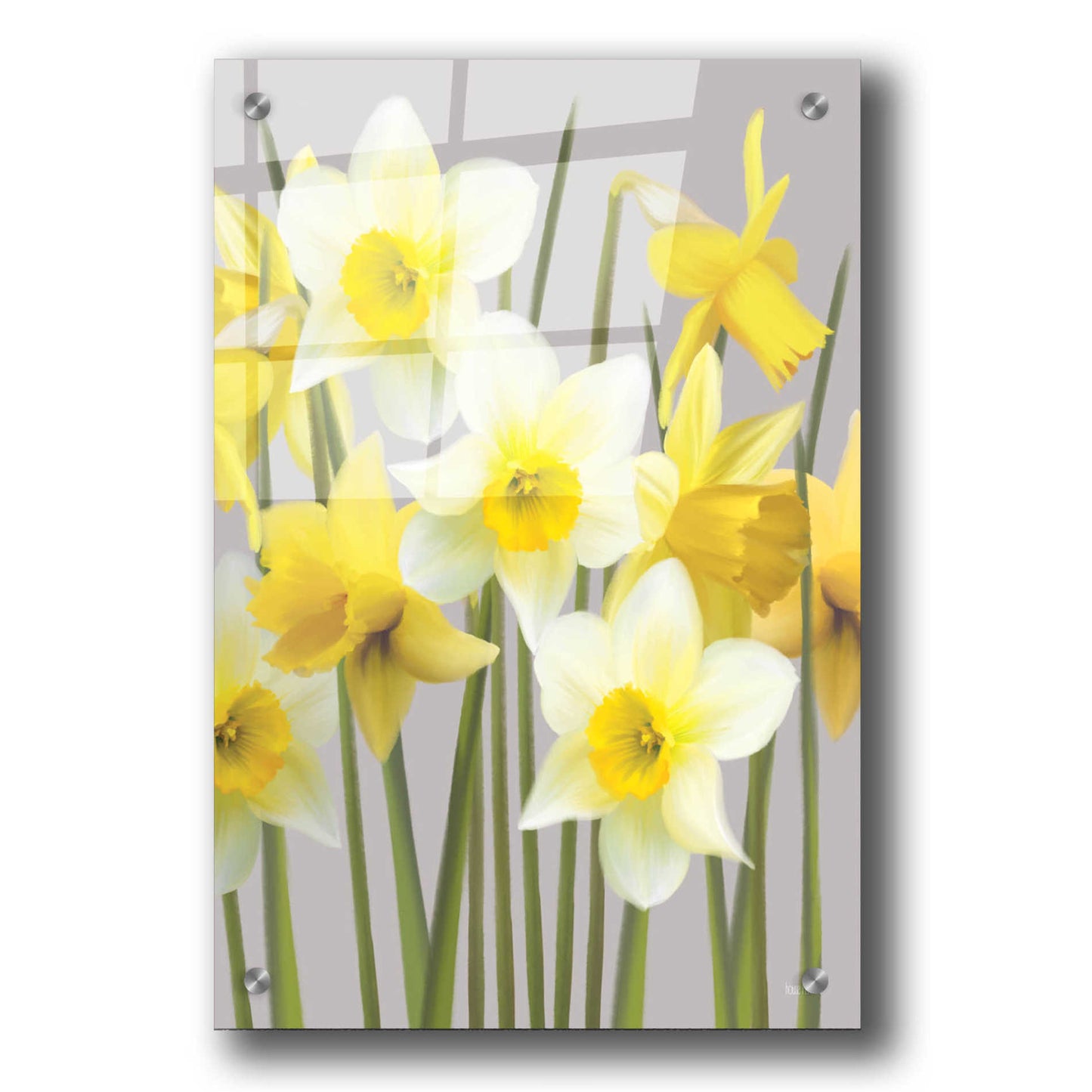 Epic Art 'Spring Daffodils' by House Fenway, Acrylic Glass Wall Art,24x36