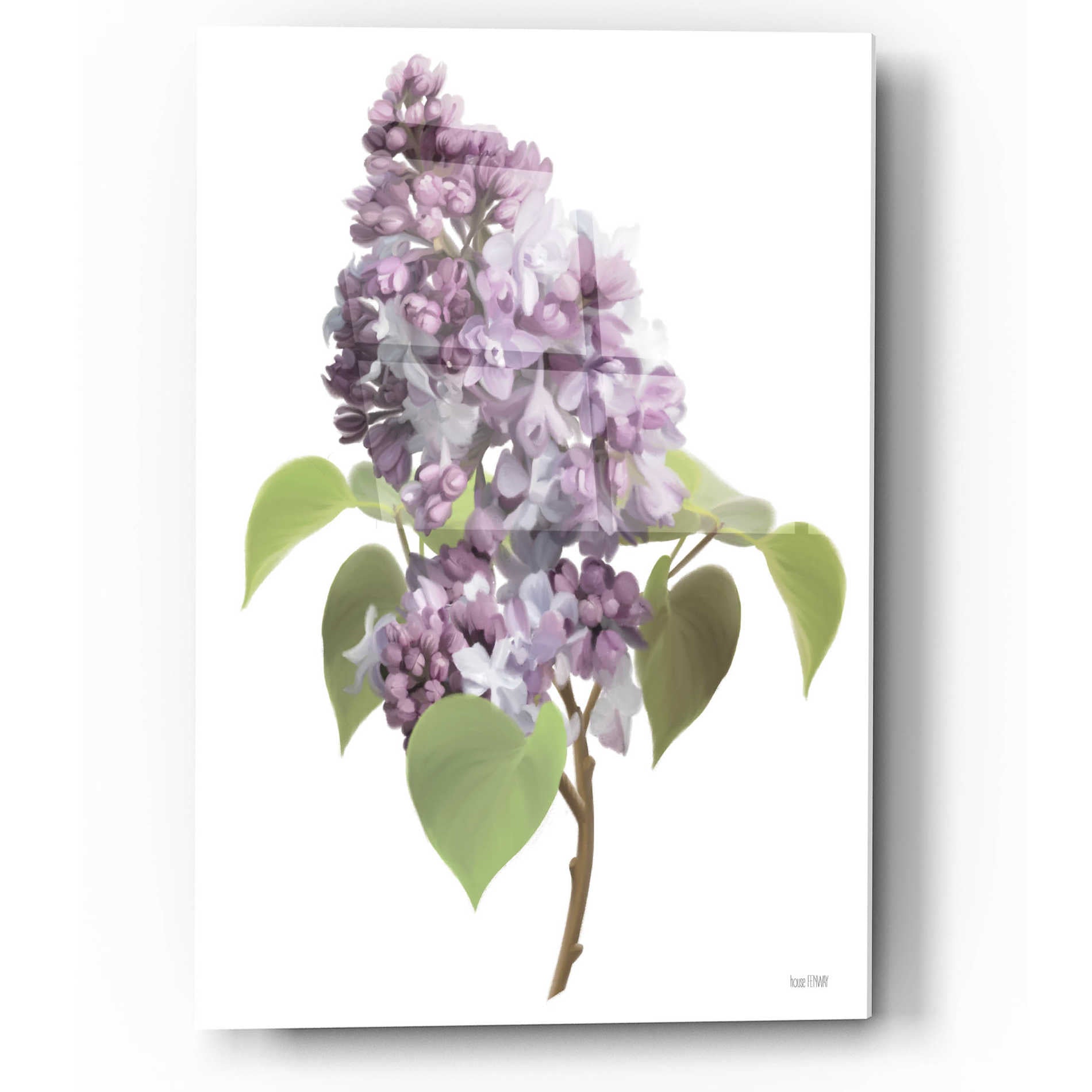 Epic Art 'Lilac Stem' by House Fenway, Acrylic Glass Wall Art,12x16