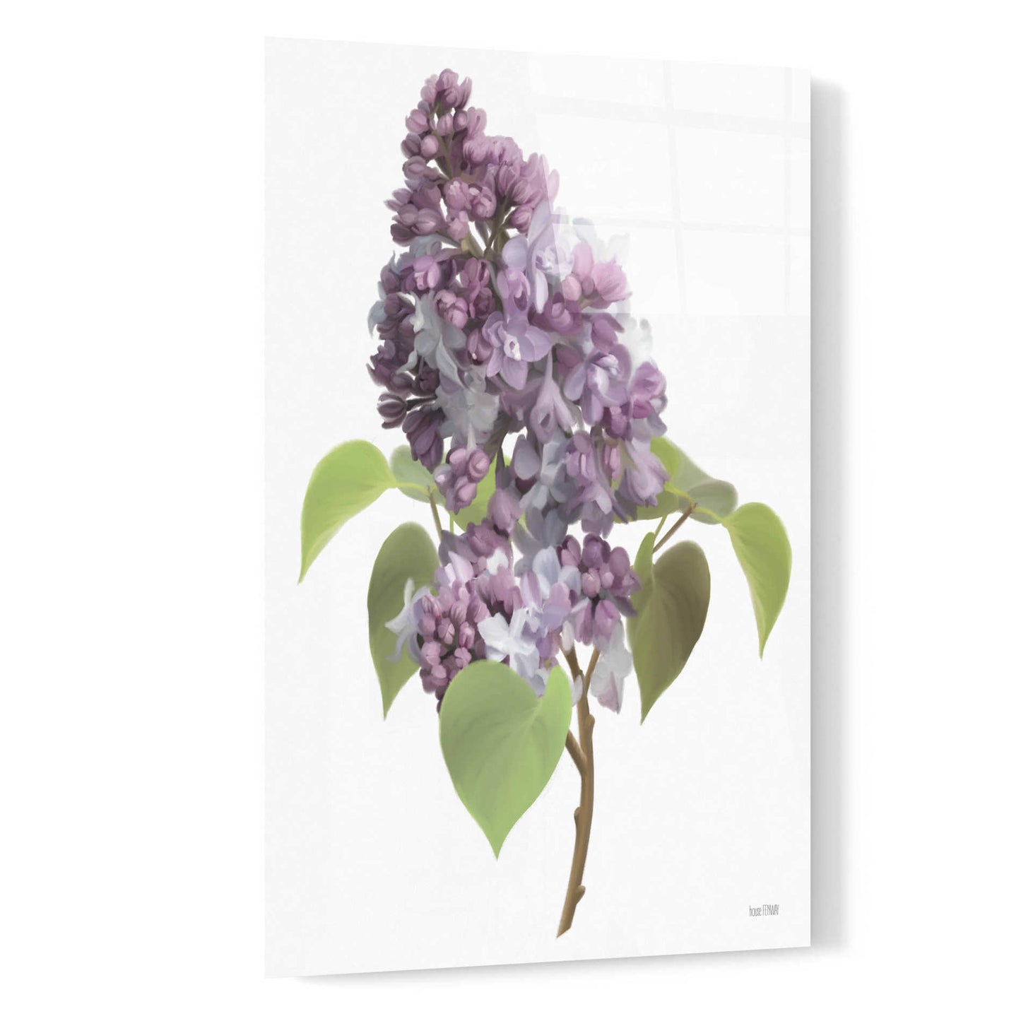 Epic Art 'Lilac Stem' by House Fenway, Acrylic Glass Wall Art,16x24