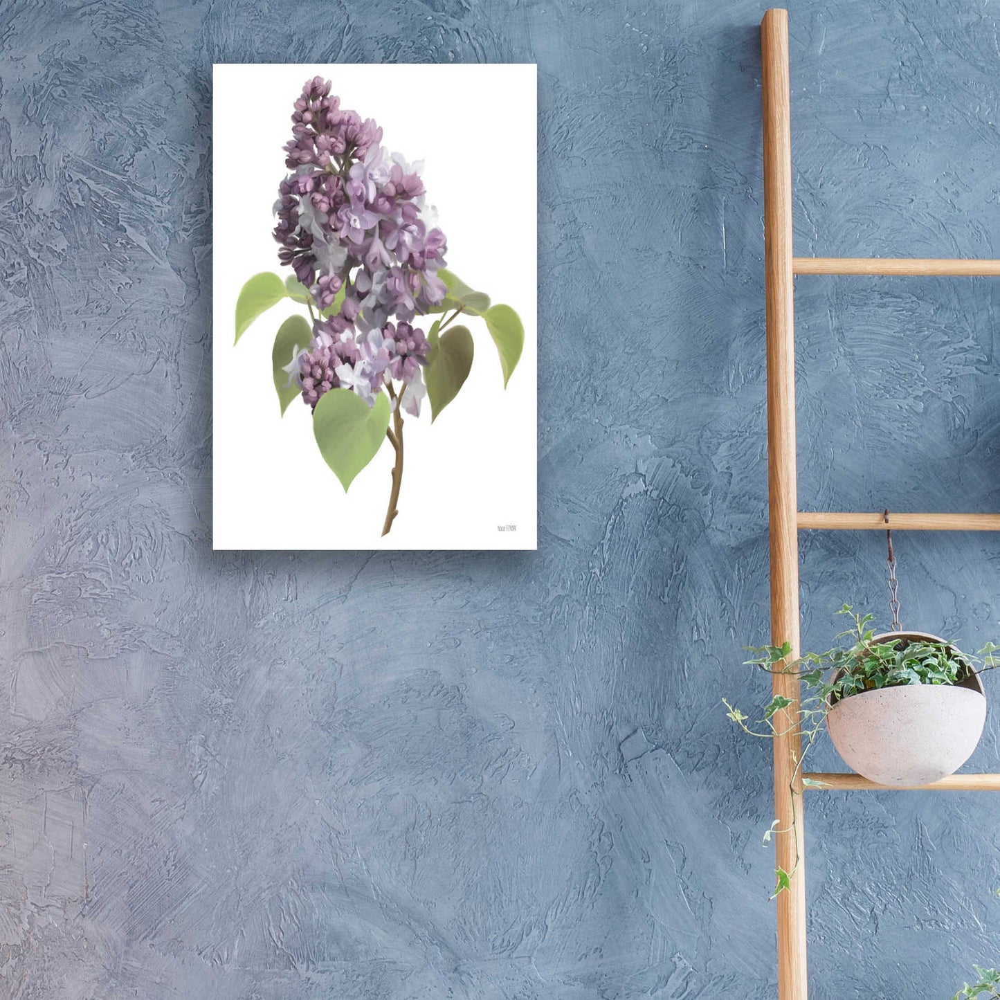 Epic Art 'Lilac Stem' by House Fenway, Acrylic Glass Wall Art,16x24