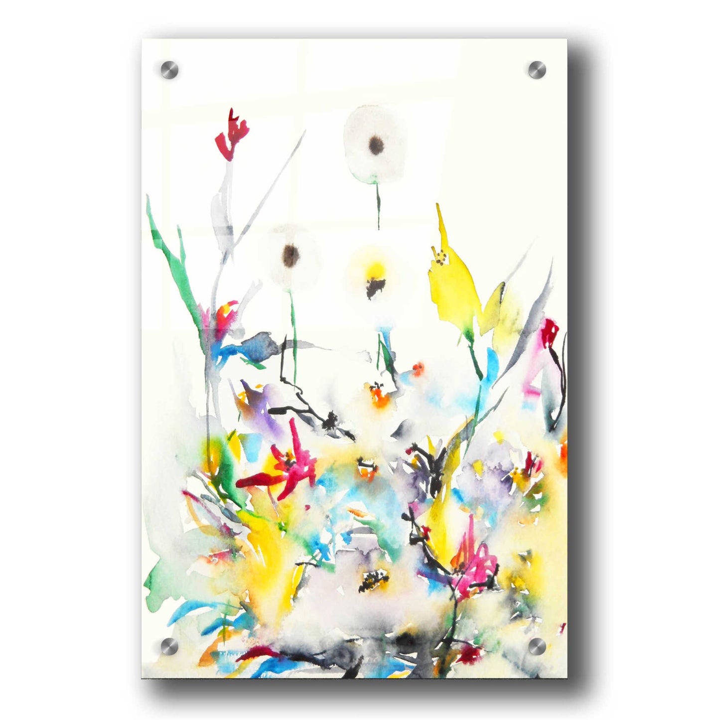 Epic Art 'Summer Garden VI' by Karin Johannesson, Acrylic Glass Wall Art,24x36