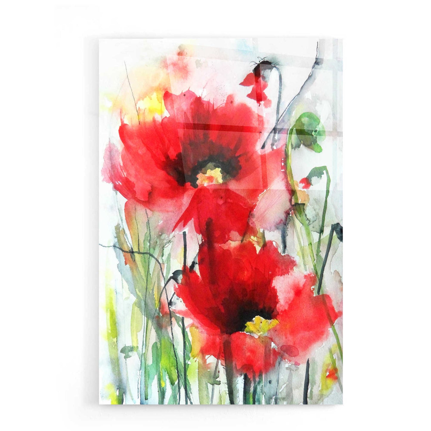 Epic Art 'Red Poppies' by Karin Johannesson, Acrylic Glass Wall Art,16x24