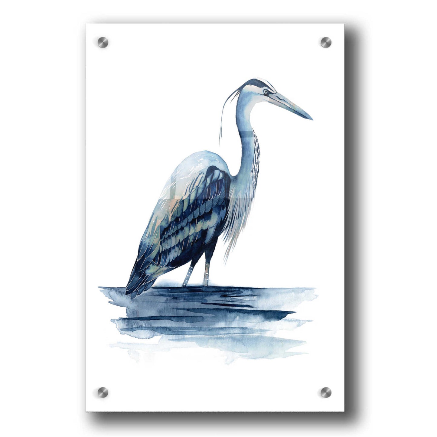 Epic Art 'Azure Heron II' by Grace Popp, Acrylic Glass Wall Art,24x36