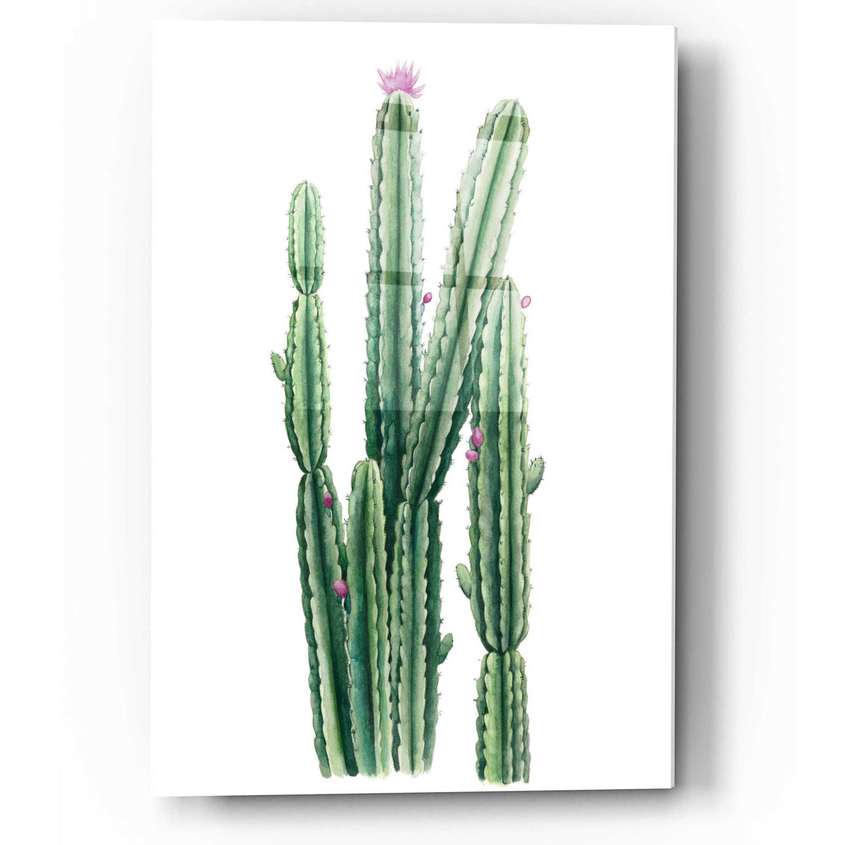 Epic Art 'Desert Blooms II' by Grace Popp, Acrylic Glass Wall Art