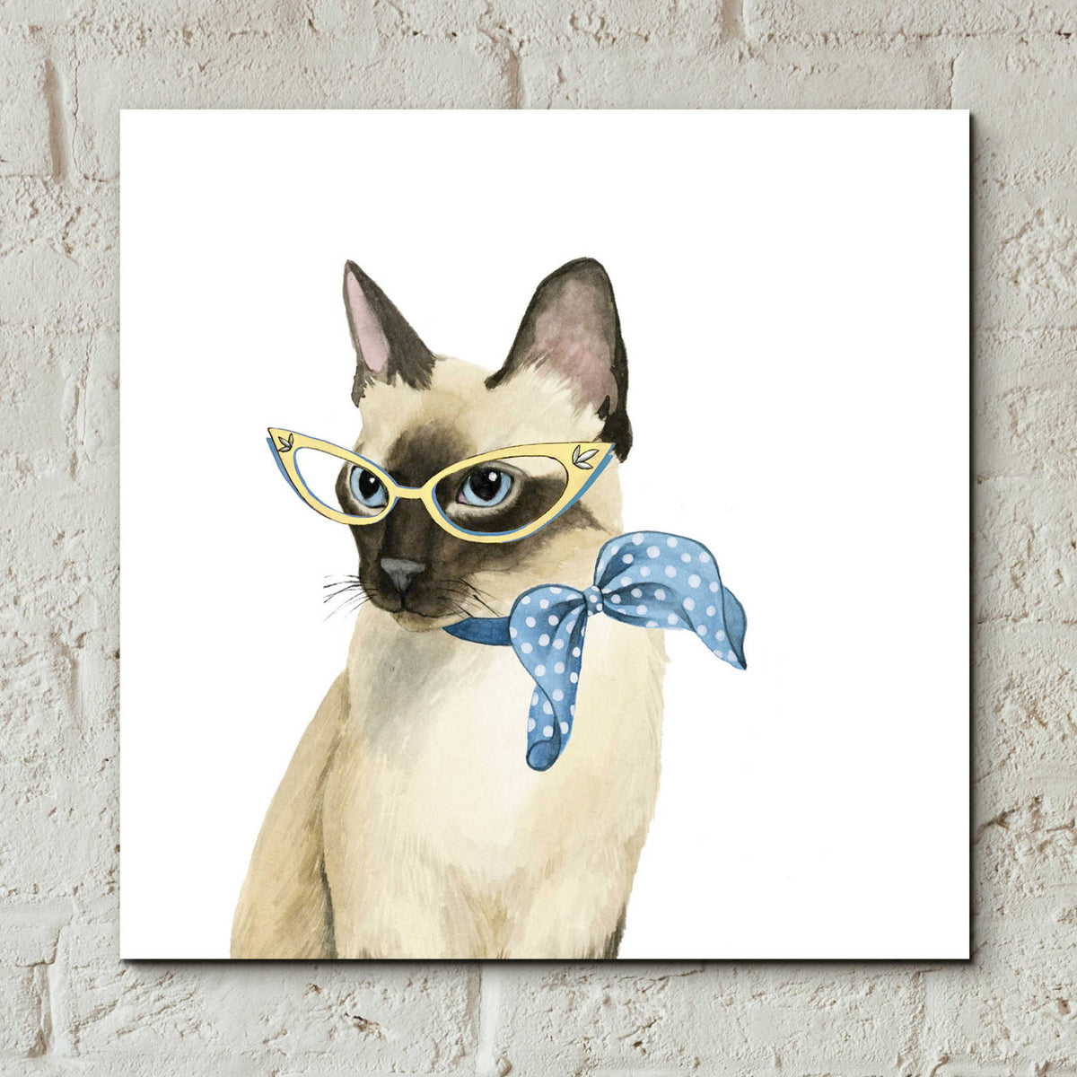 Epic Art 'Cool Cat II' by Grace Popp, Acrylic Glass Wall Art,12x12
