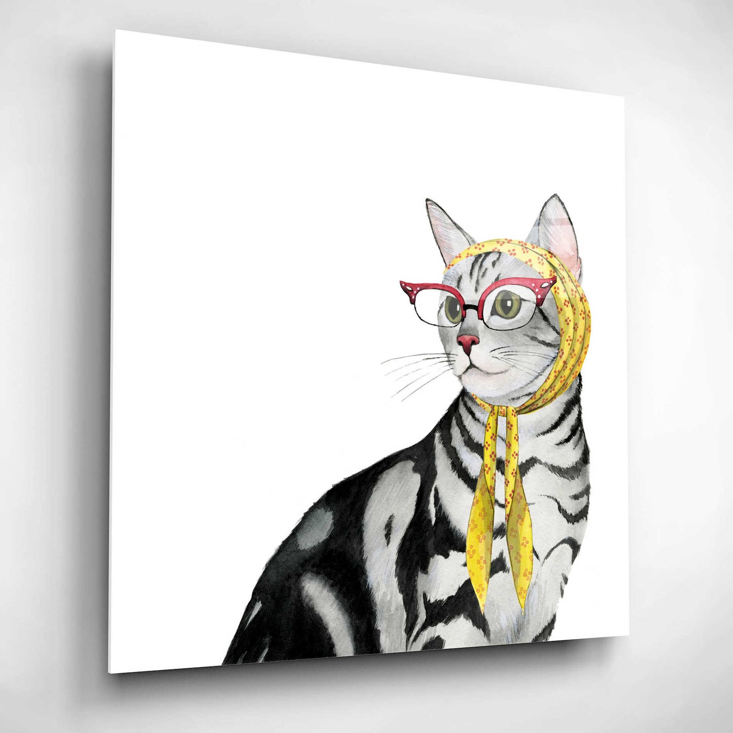 Epic Art 'Cool Cat III' by Grace Popp, Acrylic Glass Wall Art,12x12