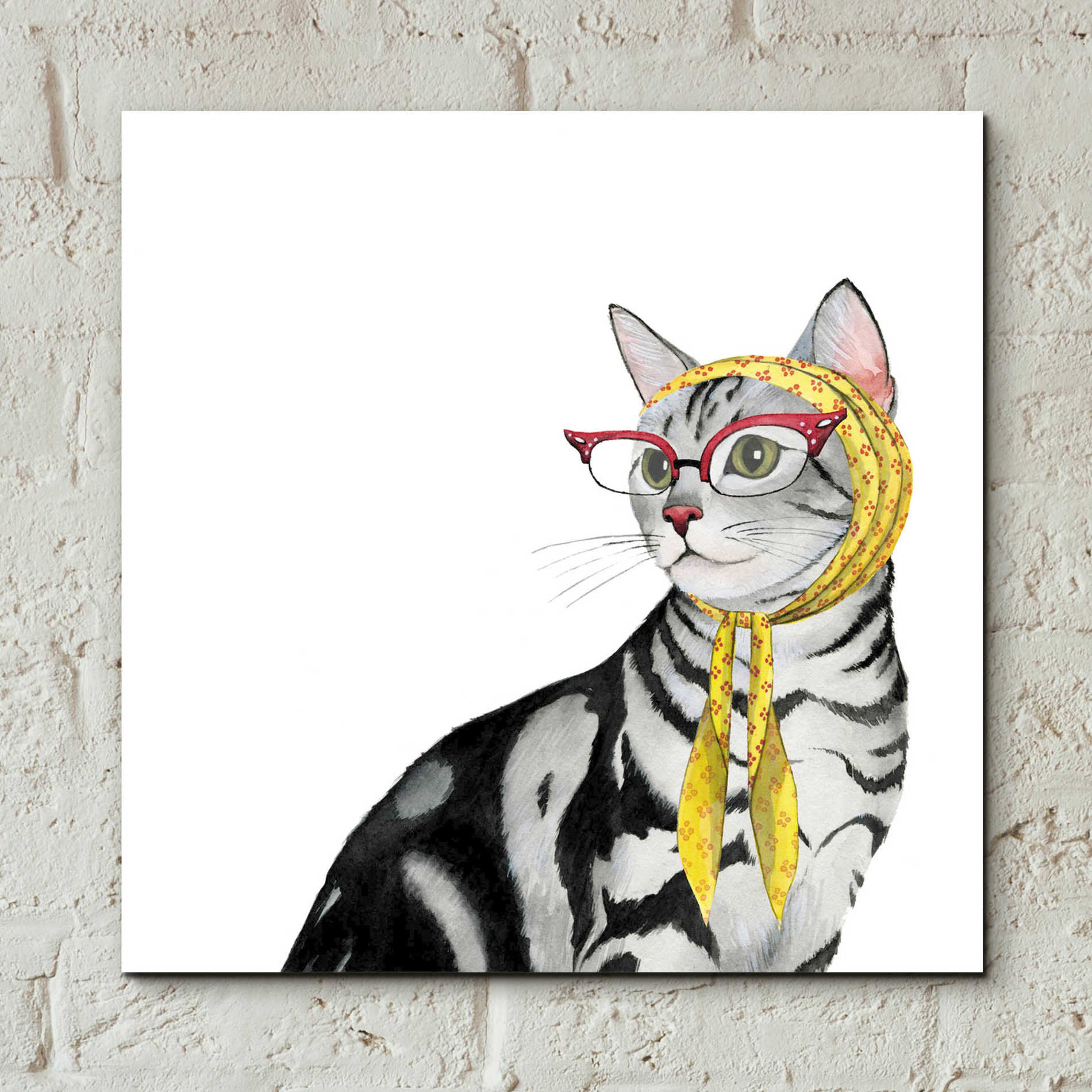Epic Art 'Cool Cat III' by Grace Popp, Acrylic Glass Wall Art,12x12