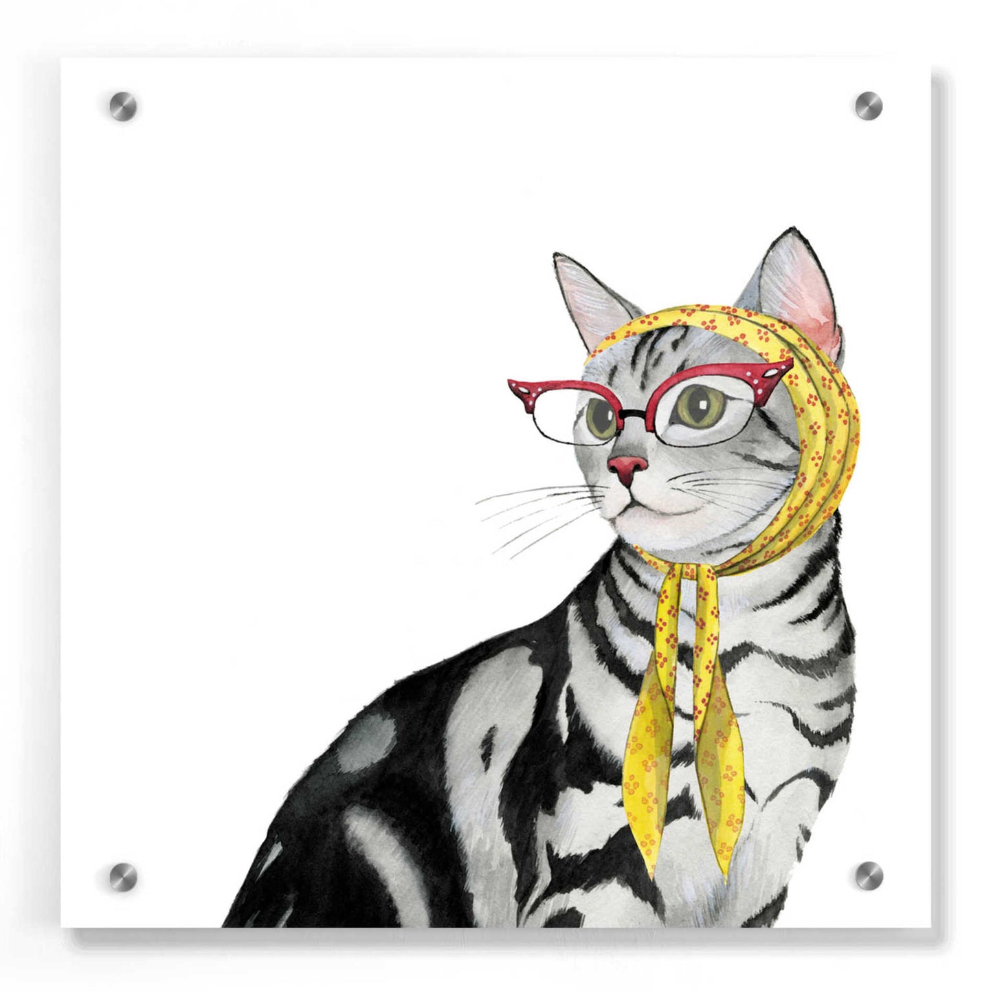 Epic Art 'Cool Cat III' by Grace Popp, Acrylic Glass Wall Art,36x36