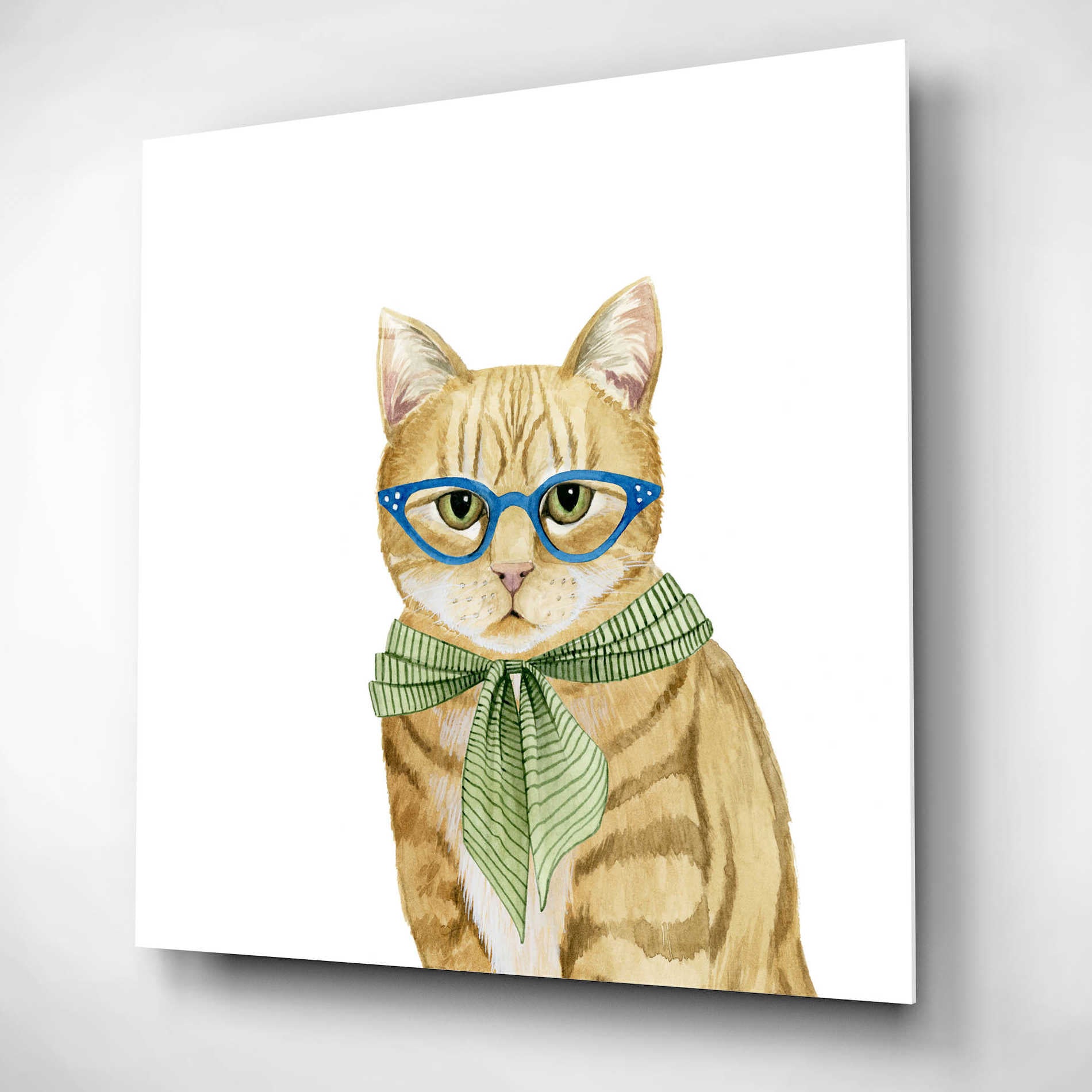 Epic Art 'Cool Cat IV' by Grace Popp, Acrylic Glass Wall Art,12x12