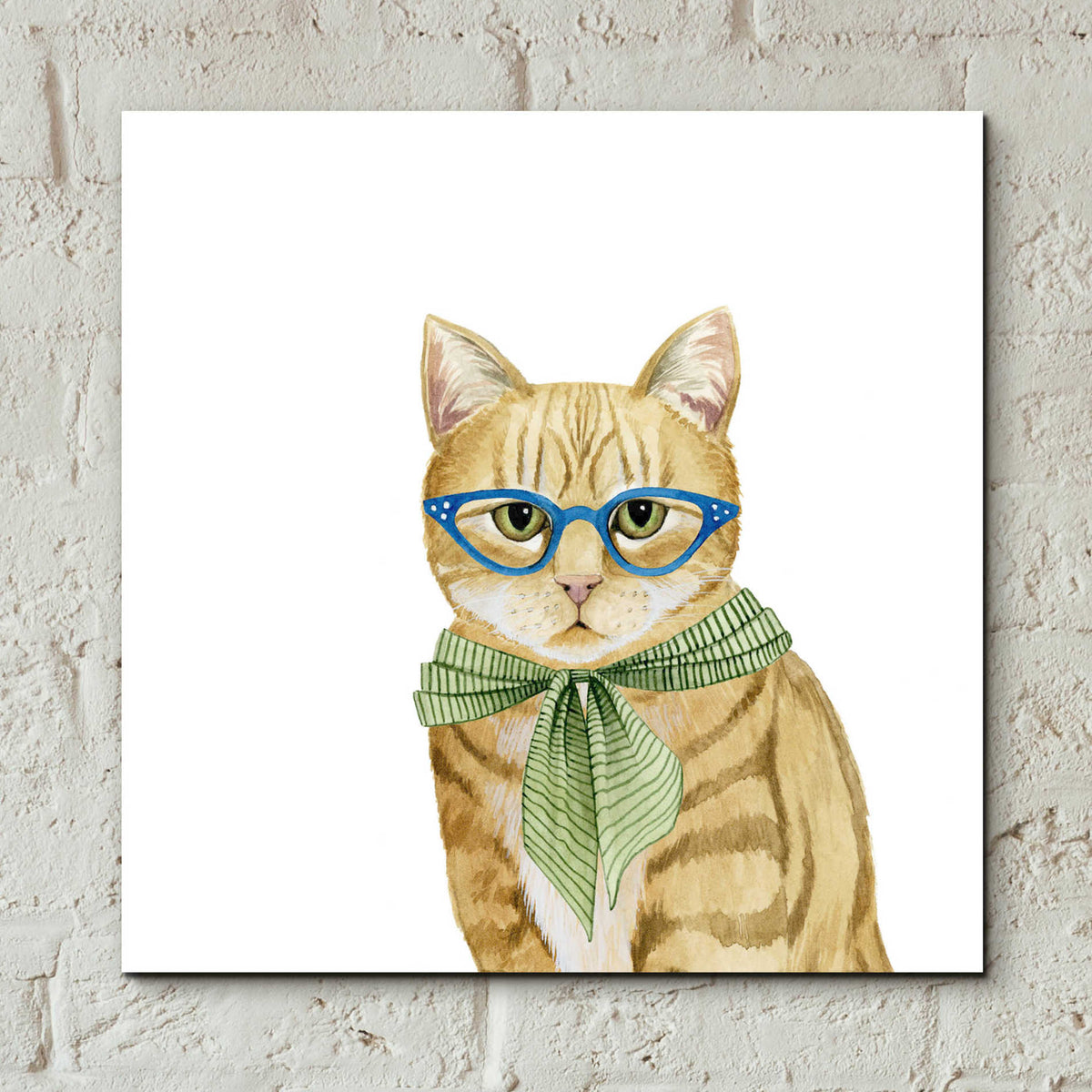 Epic Art 'Cool Cat IV' by Grace Popp, Acrylic Glass Wall Art,12x12