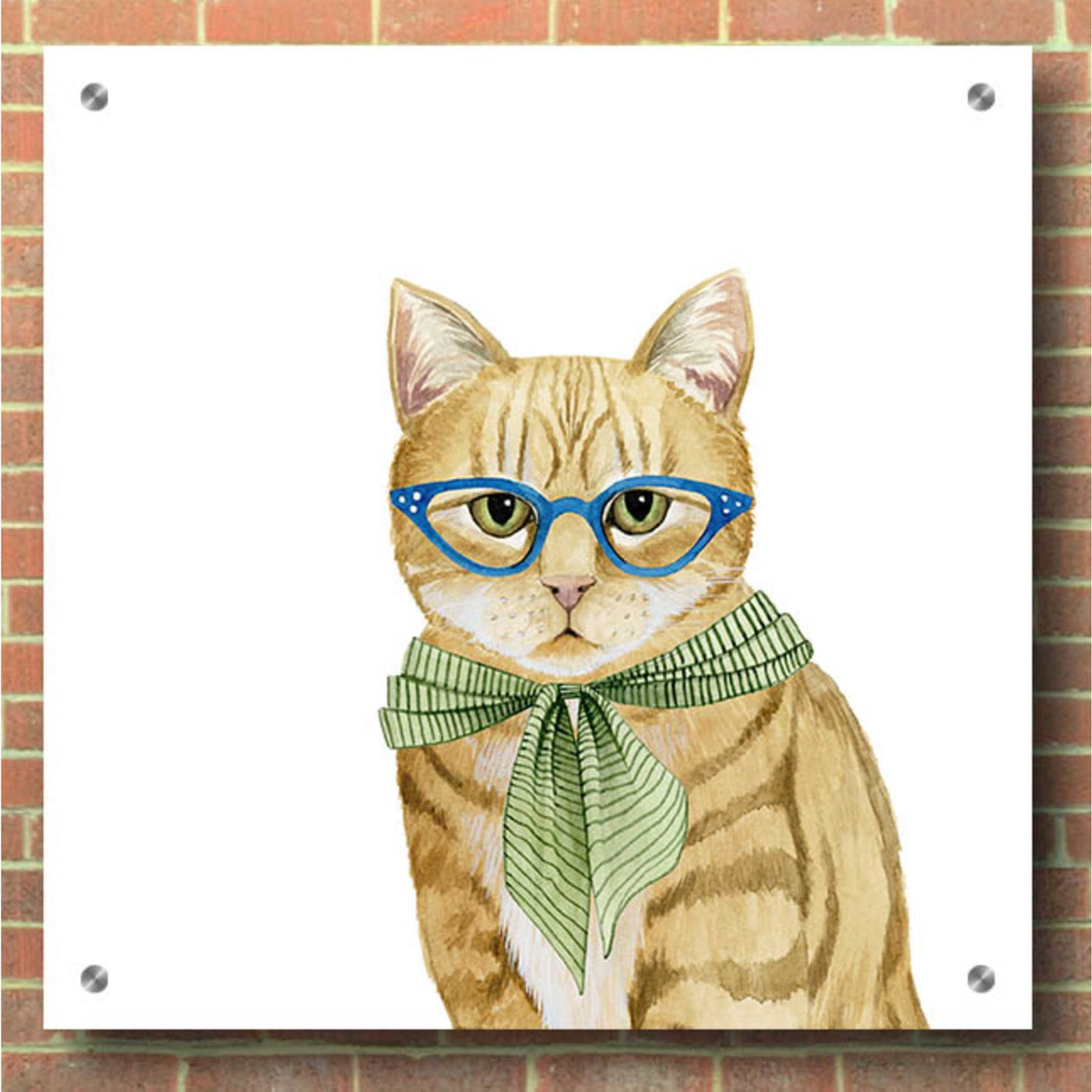 Epic Art 'Cool Cat IV' by Grace Popp, Acrylic Glass Wall Art,36x36