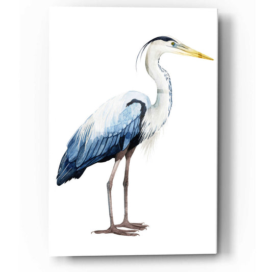 Epic Art 'Seabird Heron II' by Grace Popp, Acrylic Glass Wall Art