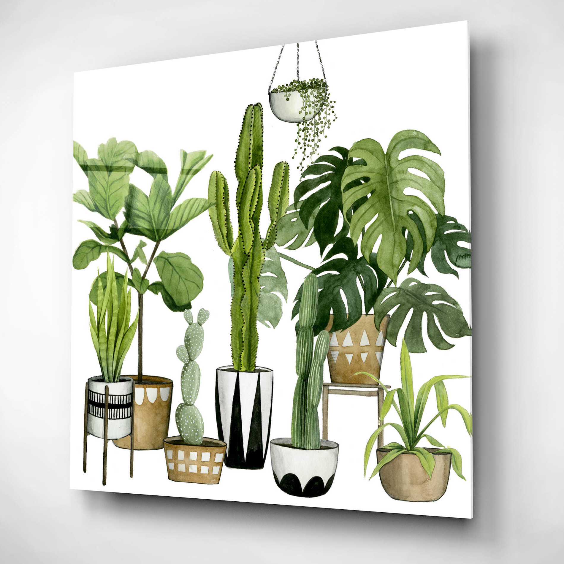 Epic Art 'Plant Haven I' by Grace Popp, Acrylic Glass Wall Art,12x12