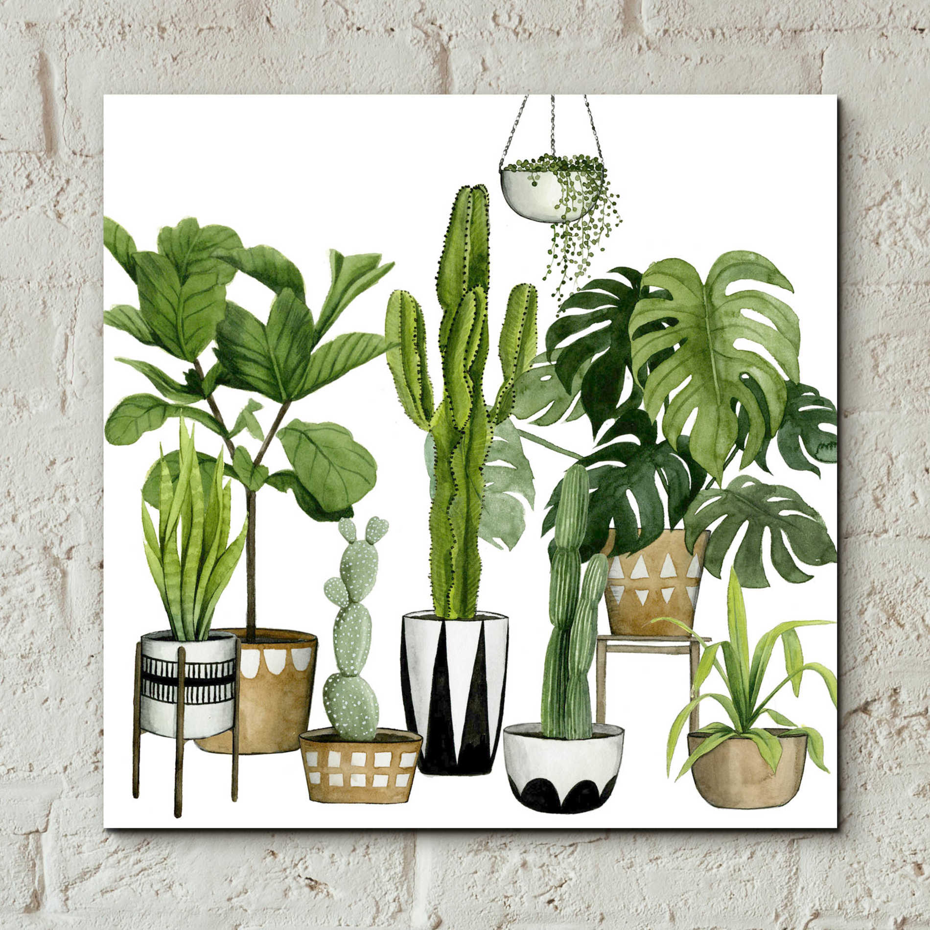 Epic Art 'Plant Haven I' by Grace Popp, Acrylic Glass Wall Art,12x12