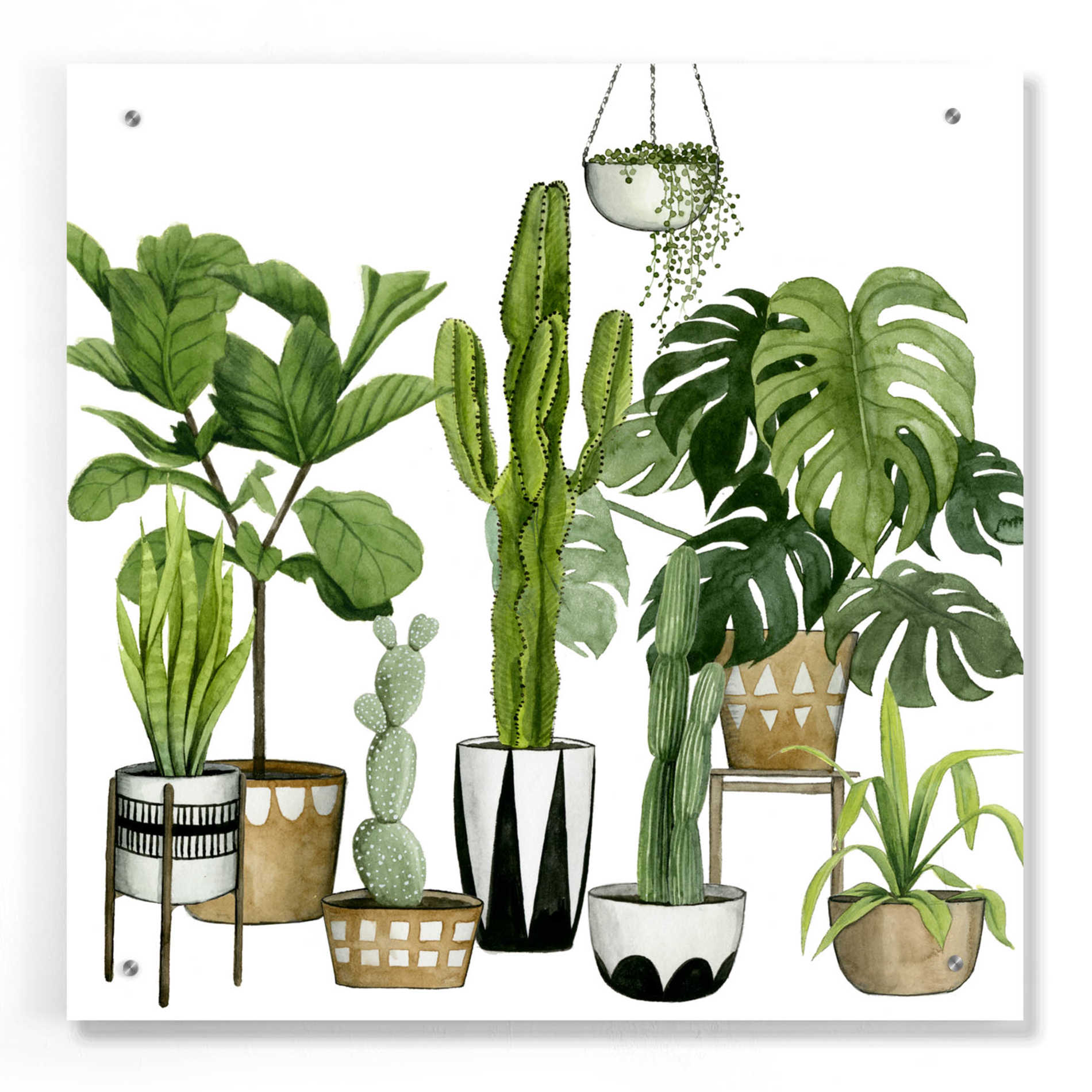 Epic Art 'Plant Haven I' by Grace Popp, Acrylic Glass Wall Art,24x24