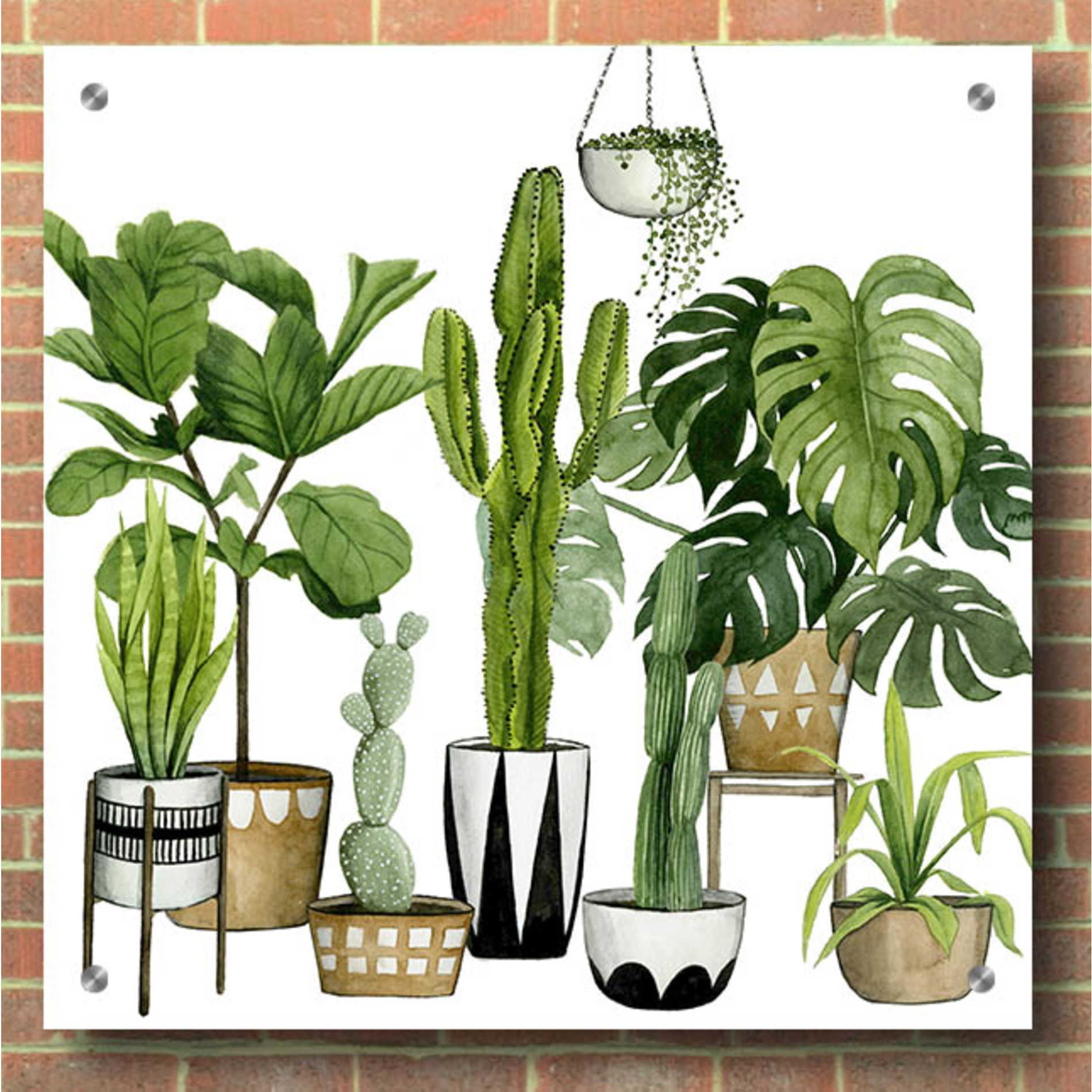 Epic Art 'Plant Haven I' by Grace Popp, Acrylic Glass Wall Art,36x36