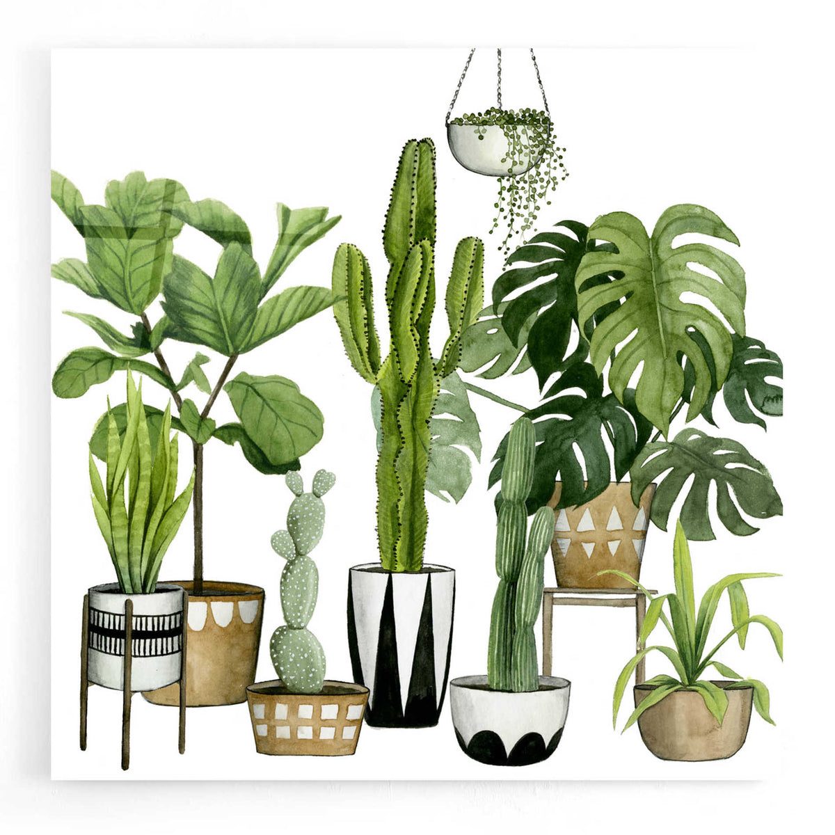 Epic Art 'Plant Haven I' by Grace Popp, Acrylic Glass Wall Art