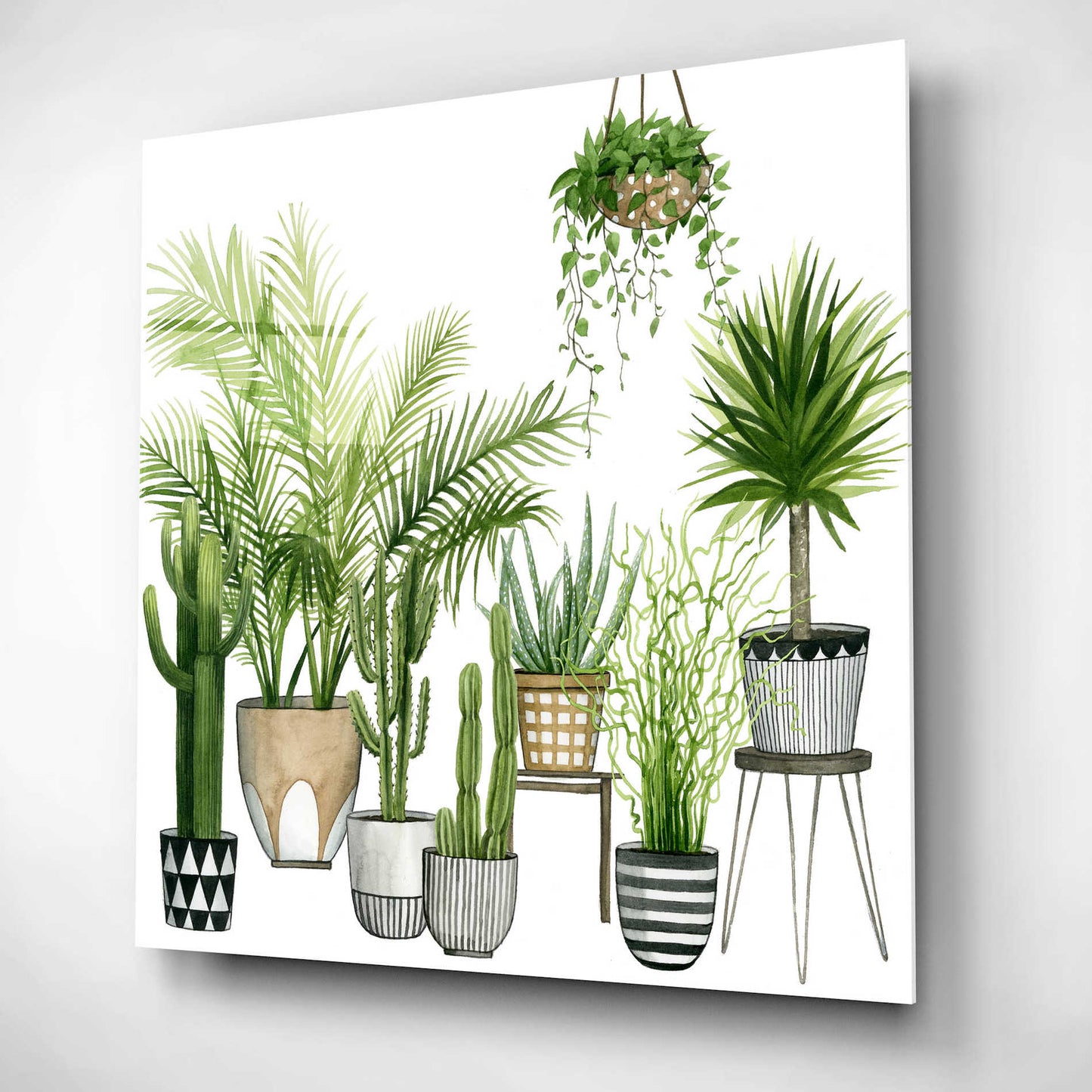 Epic Art 'Plant Haven II' by Grace Popp, Acrylic Glass Wall Art,12x12
