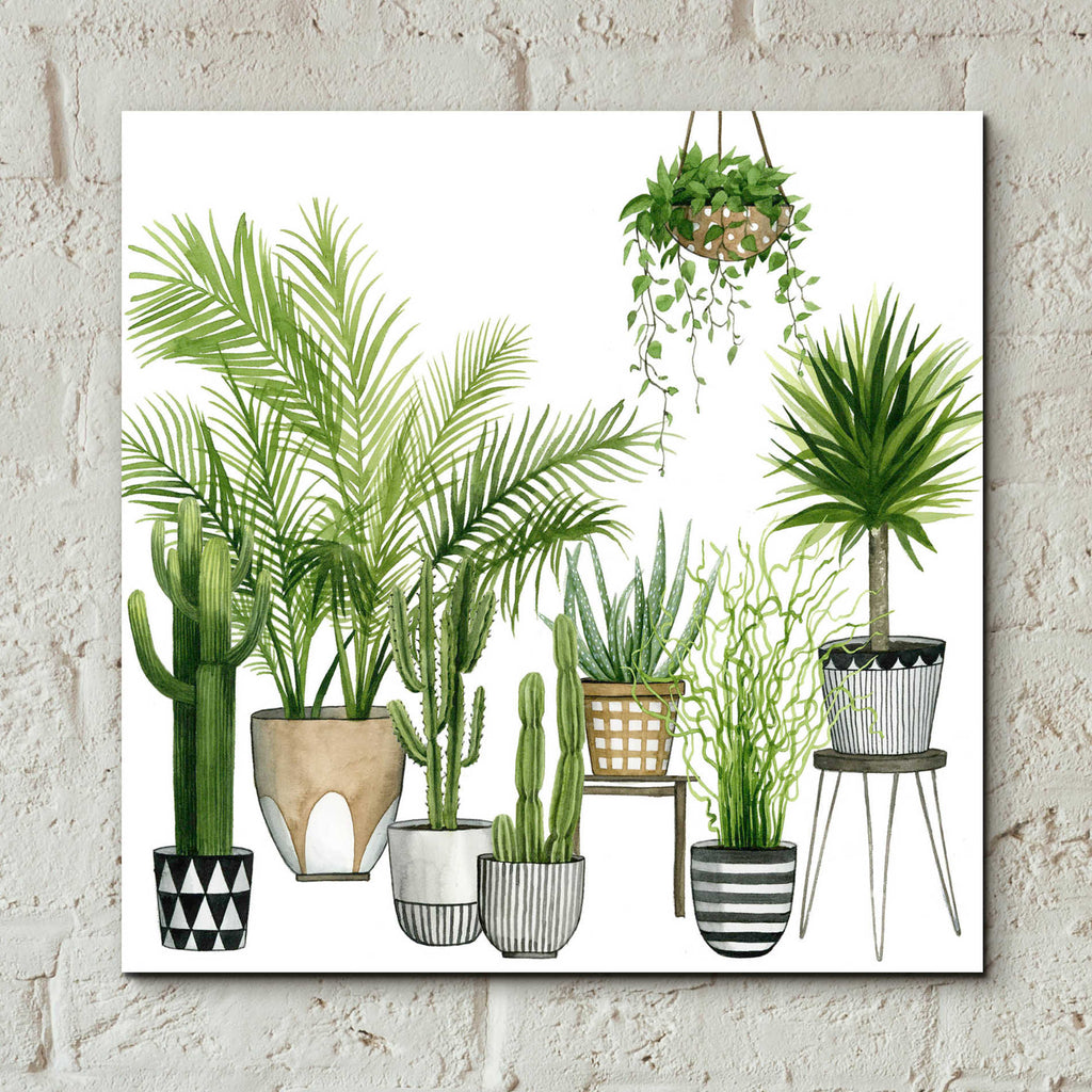 Epic Art 'Plant Haven II' by Grace Popp, Acrylic Glass Wall Art,12x12