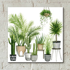 Epic Art 'Plant Haven II' by Grace Popp, Acrylic Glass Wall Art,12x12
