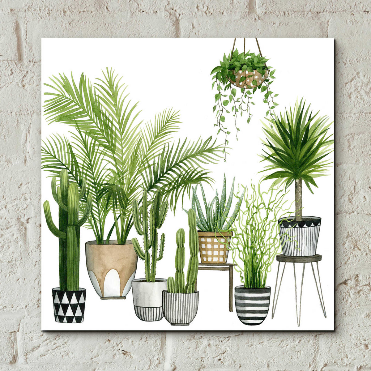 Epic Art 'Plant Haven II' by Grace Popp, Acrylic Glass Wall Art,12x12