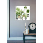 Epic Art 'Plant Haven II' by Grace Popp, Acrylic Glass Wall Art,24x24