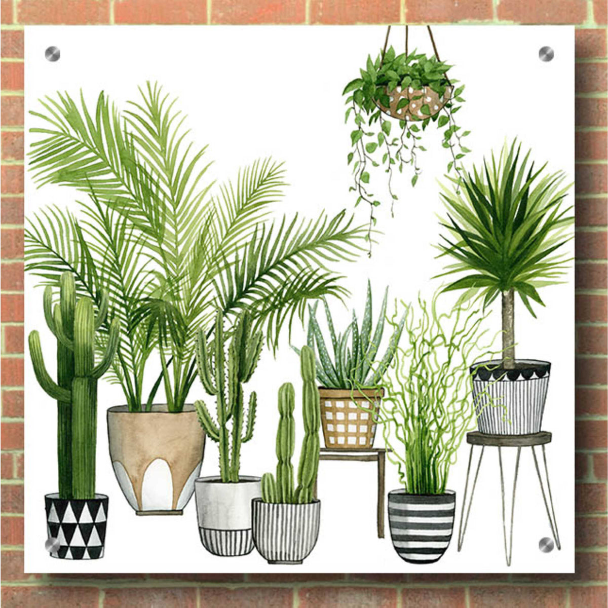 Epic Art 'Plant Haven II' by Grace Popp, Acrylic Glass Wall Art,36x36