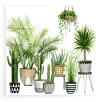 Epic Art 'Plant Haven II' by Grace Popp, Acrylic Glass Wall Art
